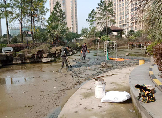 2024061134515501.jpg
