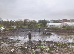 三亚河道鱼塘清淤